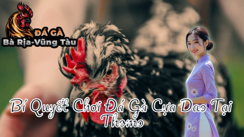 Bí Quyết Chơi Đá Gà Cựa Dao Tại Thomo