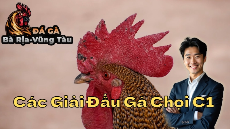 Các Giải Đấu Gà Chọi C1 Đáng Xem Nhất