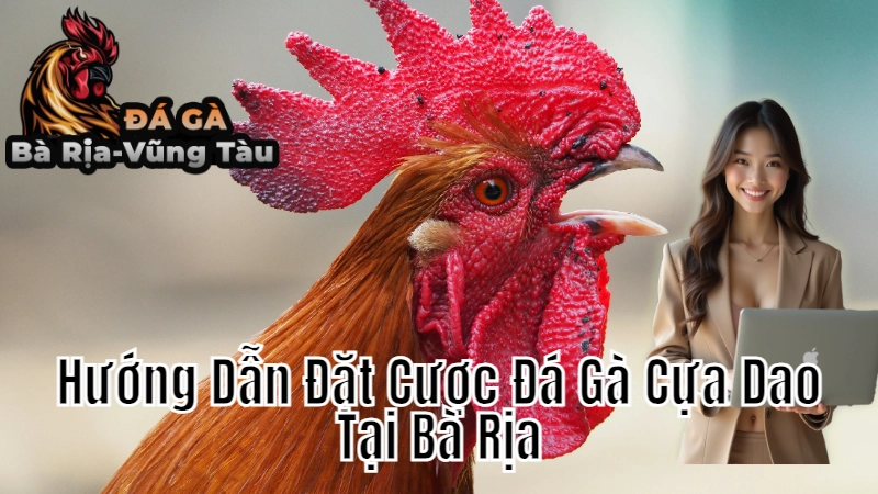Hướng Dẫn Đặt Cược Đá Gà Cựa Dao Tại Bà Rịa