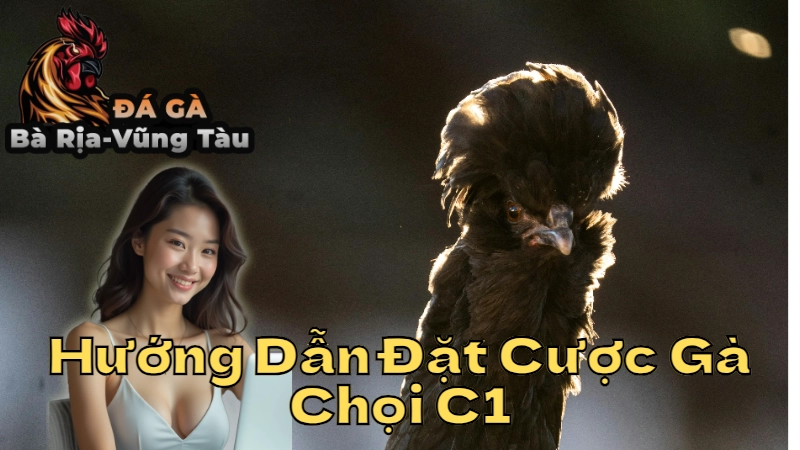 Hướng Dẫn Đặt Cược Gà Chọi C1