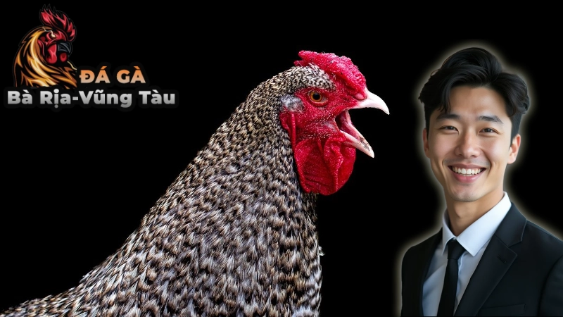 Kỹ Thuật Nuôi Gà Chọi