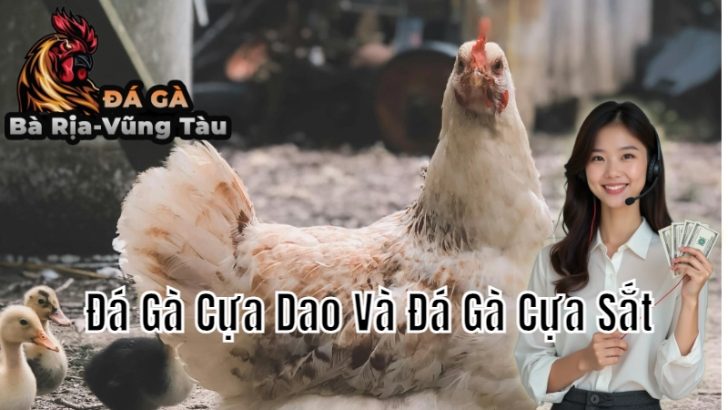 So Sánh Đá Gà Cựa Dao Và Đá Gà Cựa Sắt