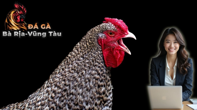 Tìm Kiếm Các Trang Web Uy Tín Để Đặt Cược Gà Chọi C1