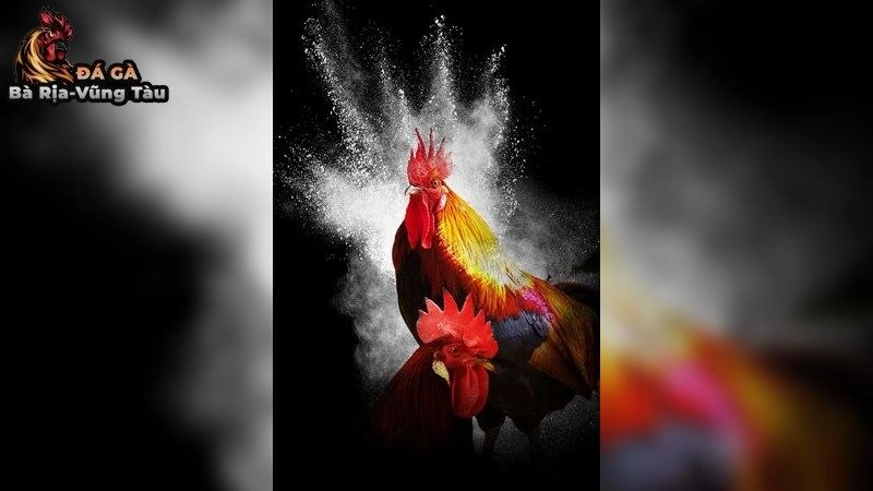 Thức ăn giúp gà tăng pin – Nâng cao năng lượng để xung trận 2025